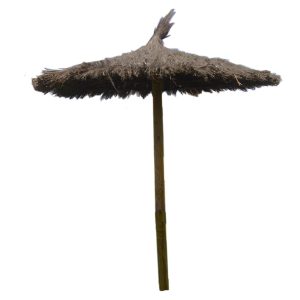 SOMBRILLA DE BREZO
