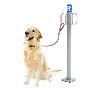 PARKING DE PERROS