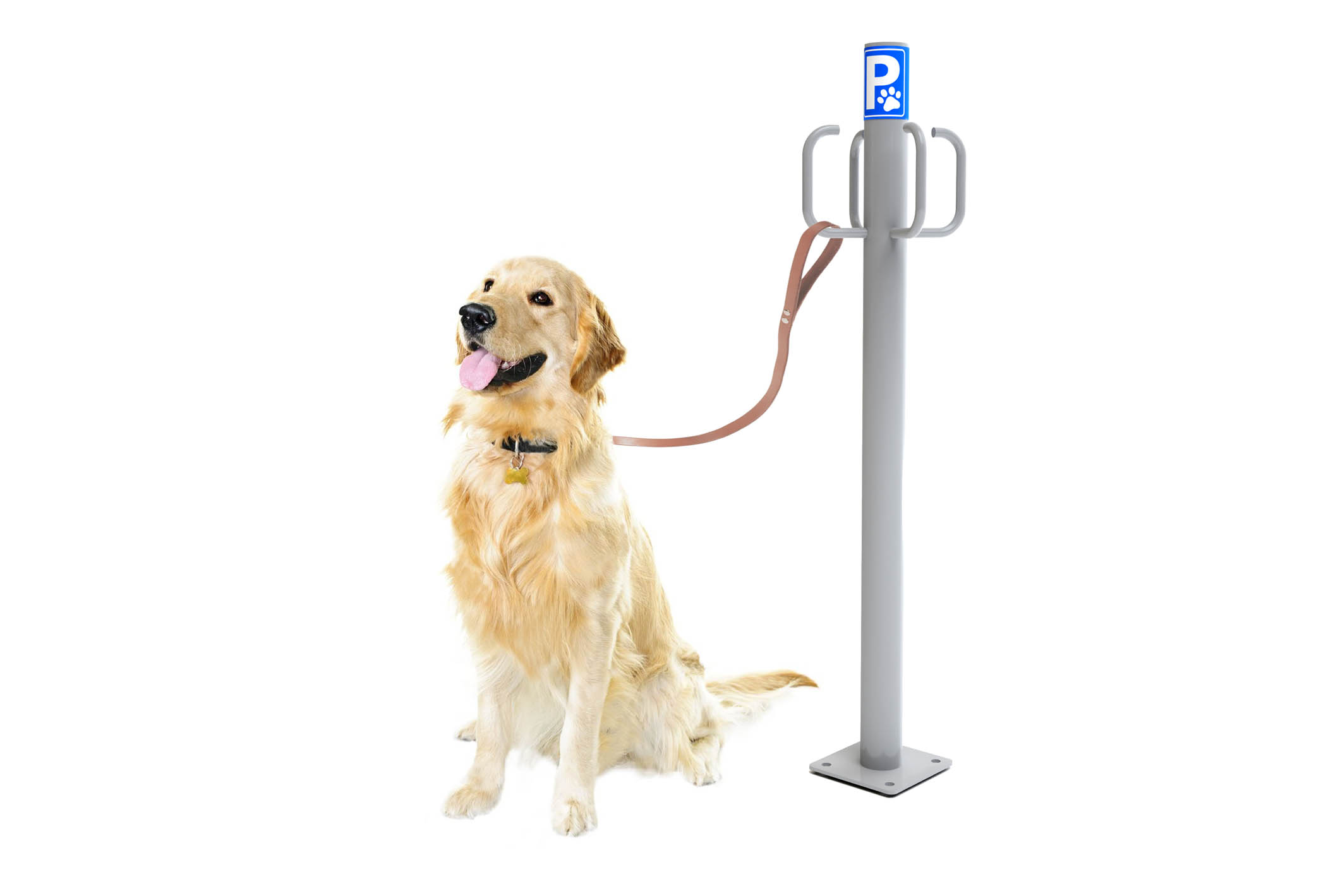 PARKING DE PERROS