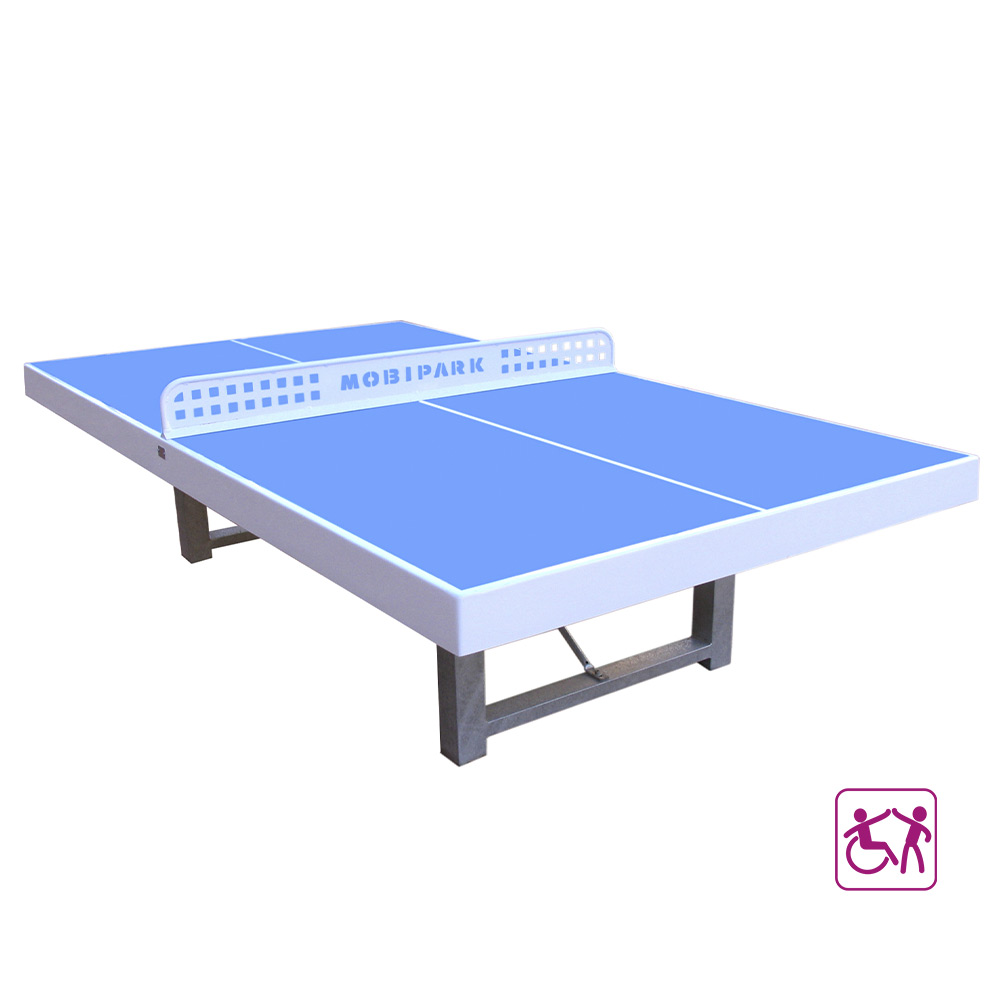 MESA DE PING-PONG