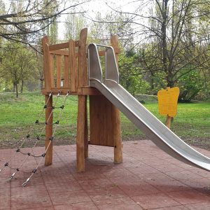 Robinia
